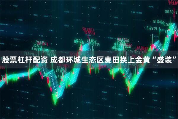 股票杠杆配资 成都环城生态区麦田换上金黄“盛装”